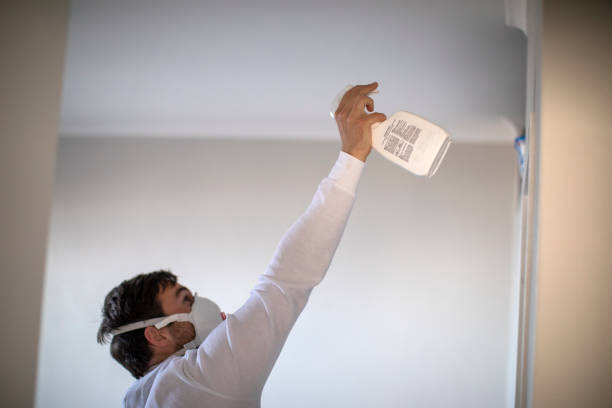 Best Mold Cleaning Services  in Secaucus, NJ