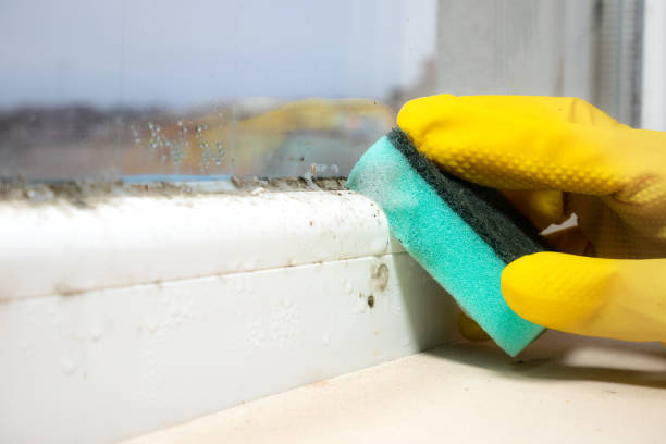 Best Mold Testing  in Secaucus, NJ