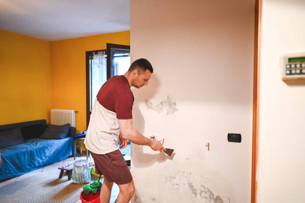 Certified Mold Removal in Secaucus, NJ